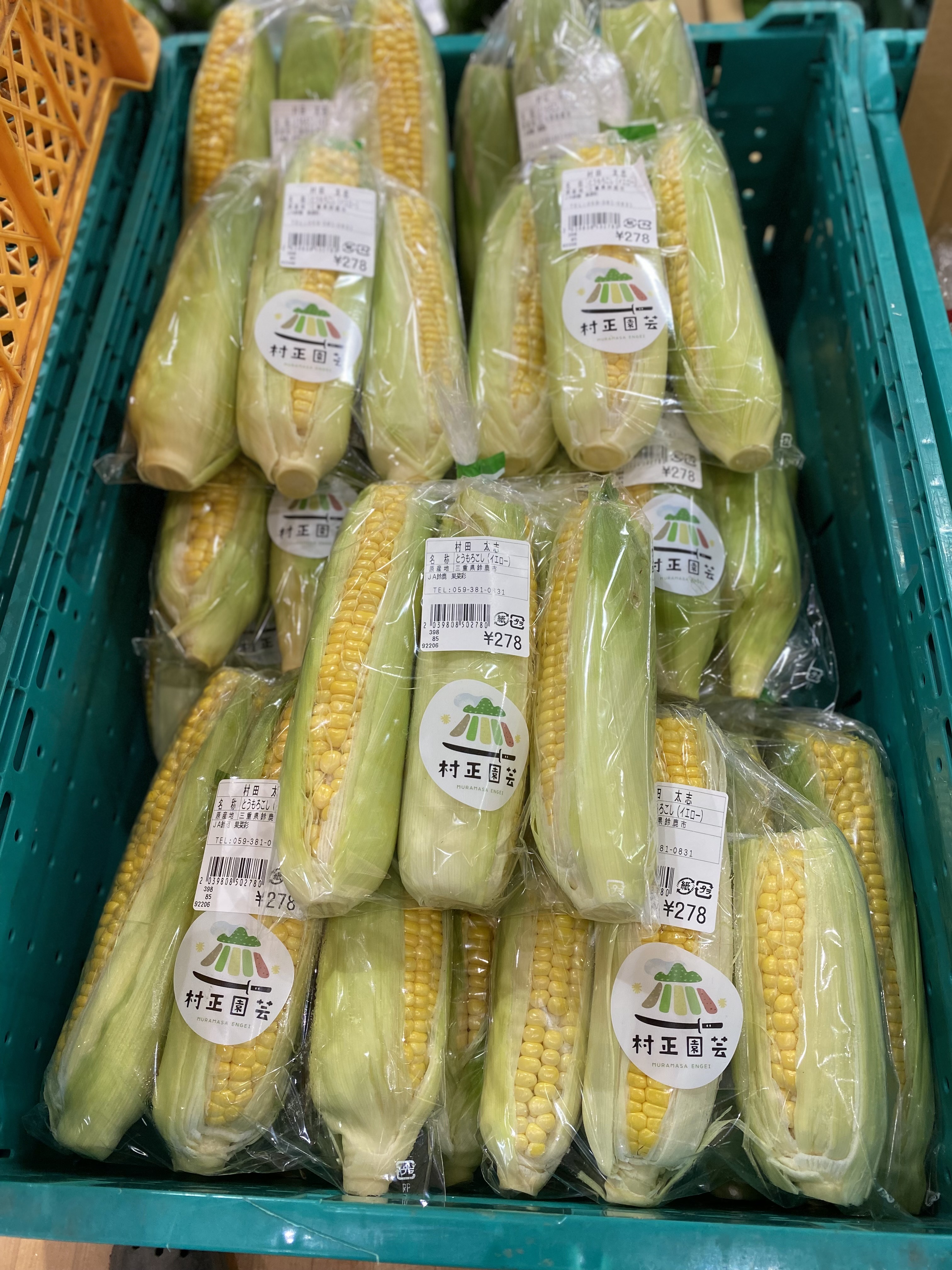 Yさま
