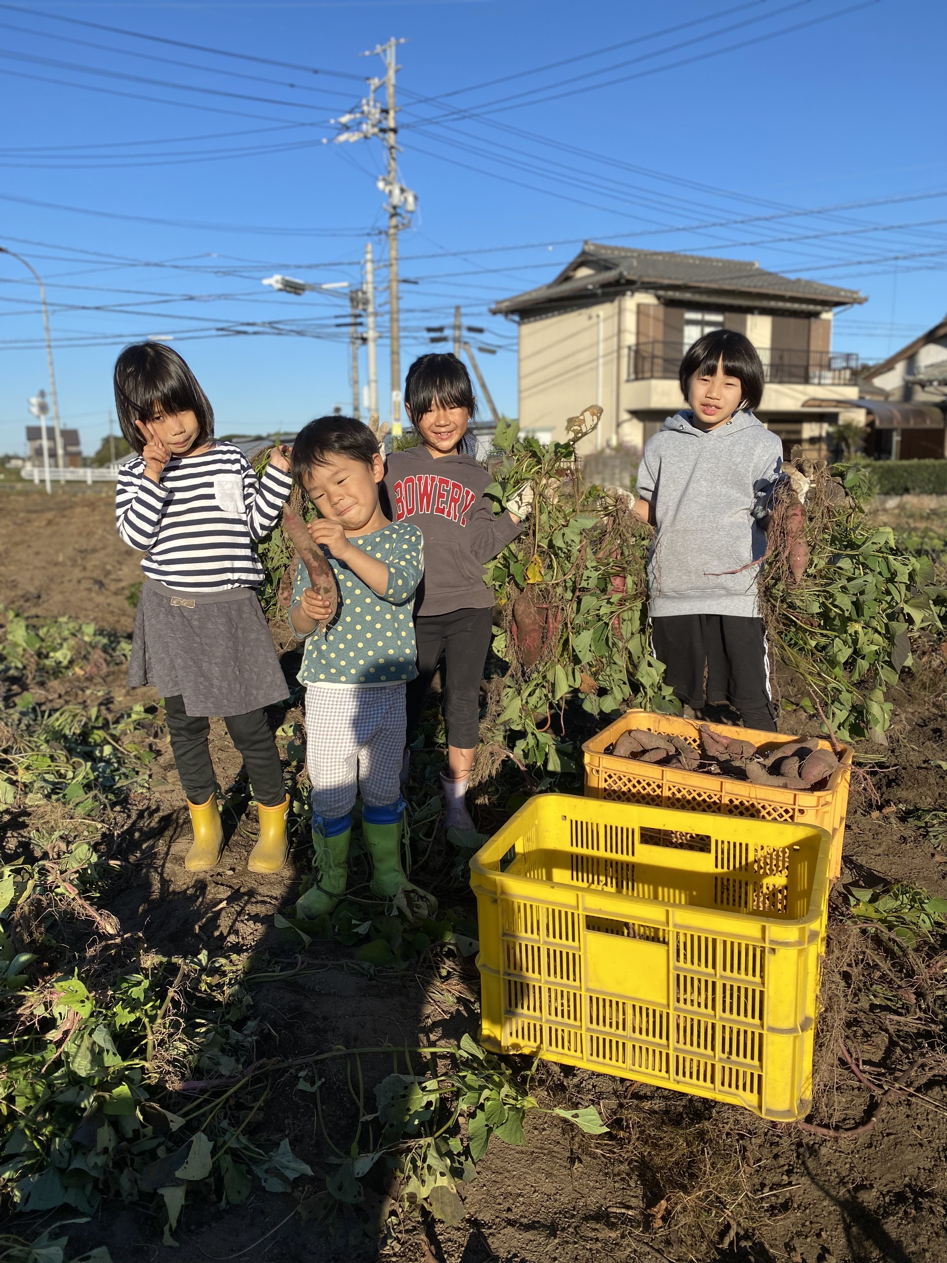 Aさま